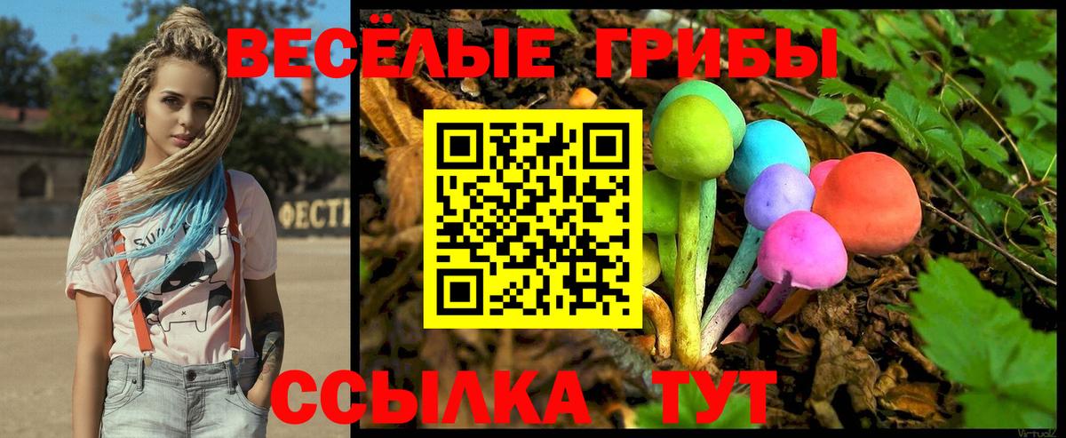 Галлюциногенные грибы Psilocybe Обнинск