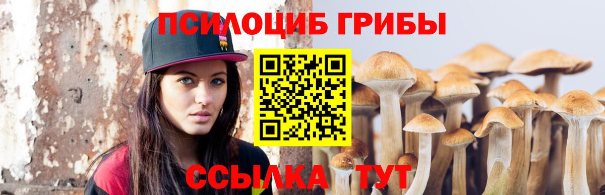 Псилоцибиновые грибы мицелий  Псилоцибиновые грибы мицелий  Вход с VPN  Обнинск 