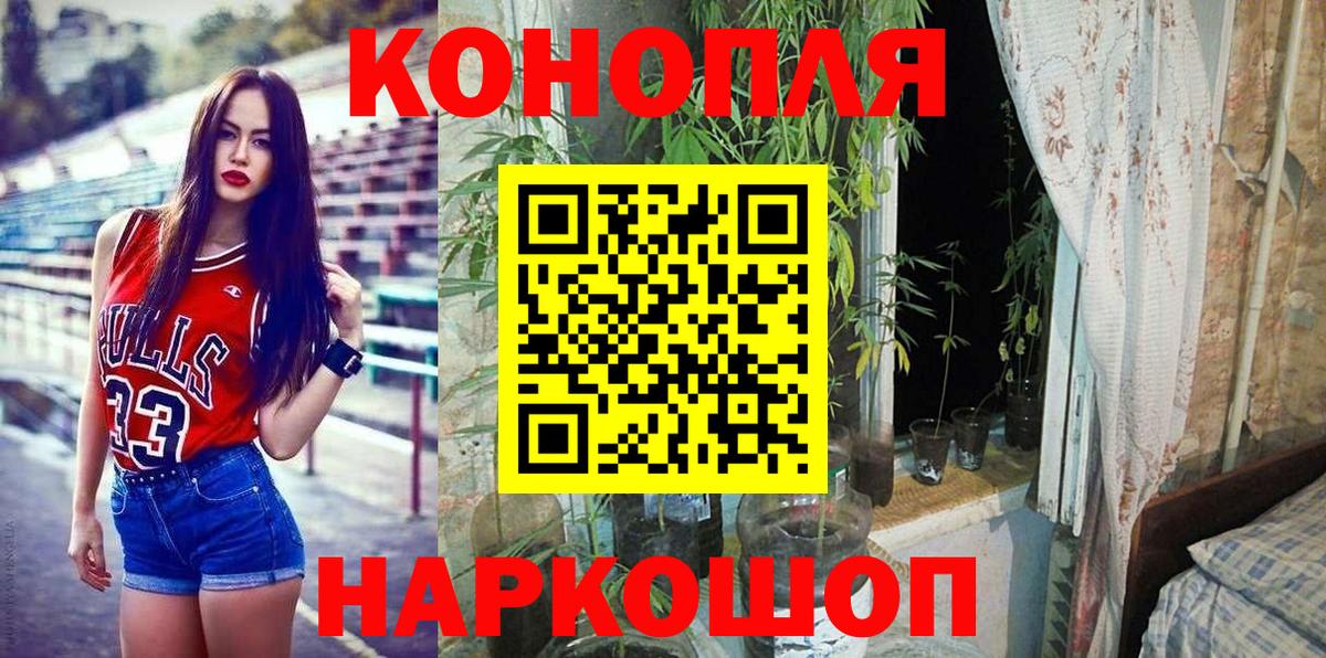 Бошки марихуана гибрид  МАРИХУАНА сатива  Вход с VPN  Канабис ГИДРОПОН  Обнинск 
